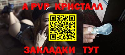 стафф Донской