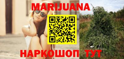 стафф Донской