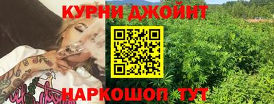 стафф Донской