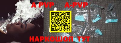 стафф Донской