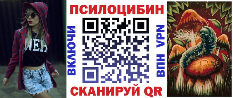 Галлюциногенные грибы Psilocybe  где продают   Луга 