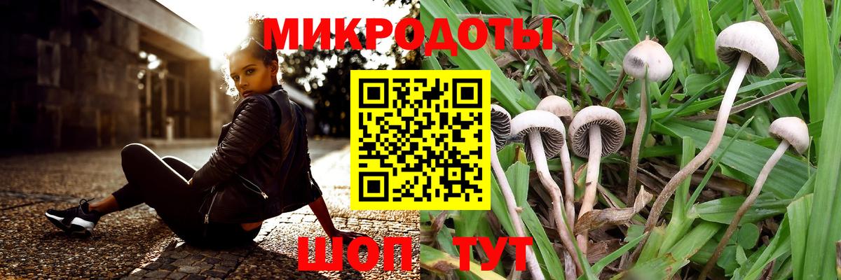 закладка  Вход с VPN  Луга  Галлюциногенные грибы Cubensis 